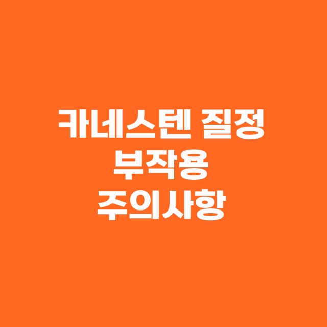 카네스텐 질정 연고 질염 크림 부작용 사용법