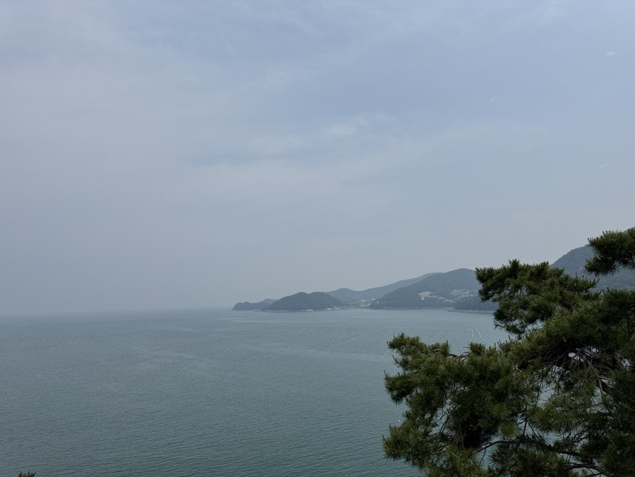 돌산정육식당 사진 8
