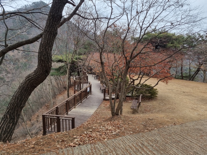 전망대