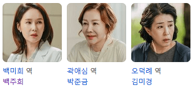 닥터차정숙조연