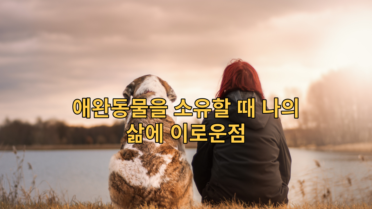  애완동물을 소유할 때 나의 삶에 이로운점