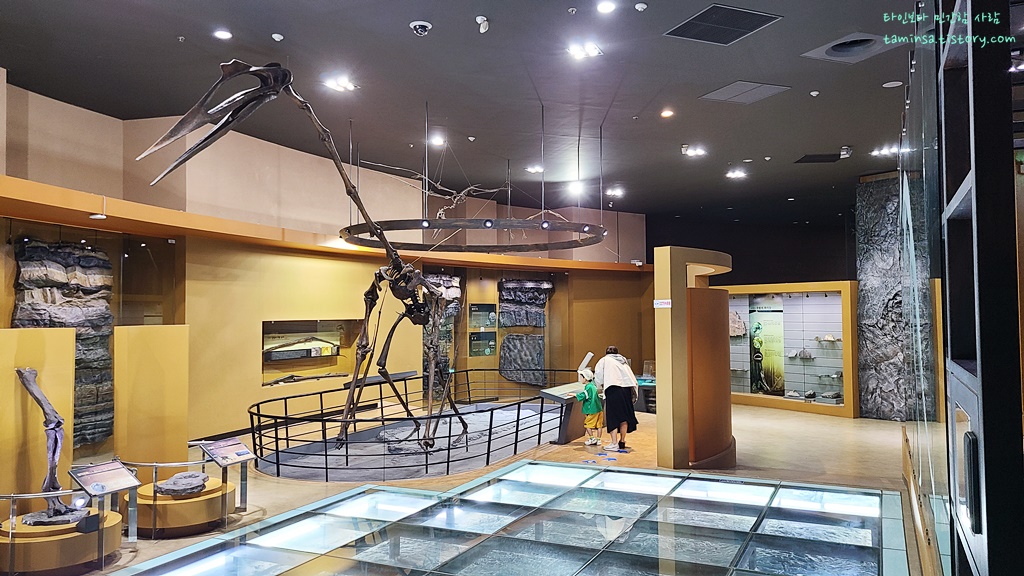 해남공룡박물관-우항리실