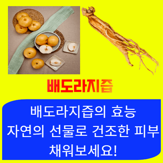 배도라지즙의-효능-자연의-선물