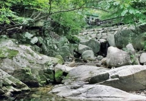 경남 장척 계곡 근처 갈만한 곳 근교 여름 물놀이 가볼만한 곳 추천