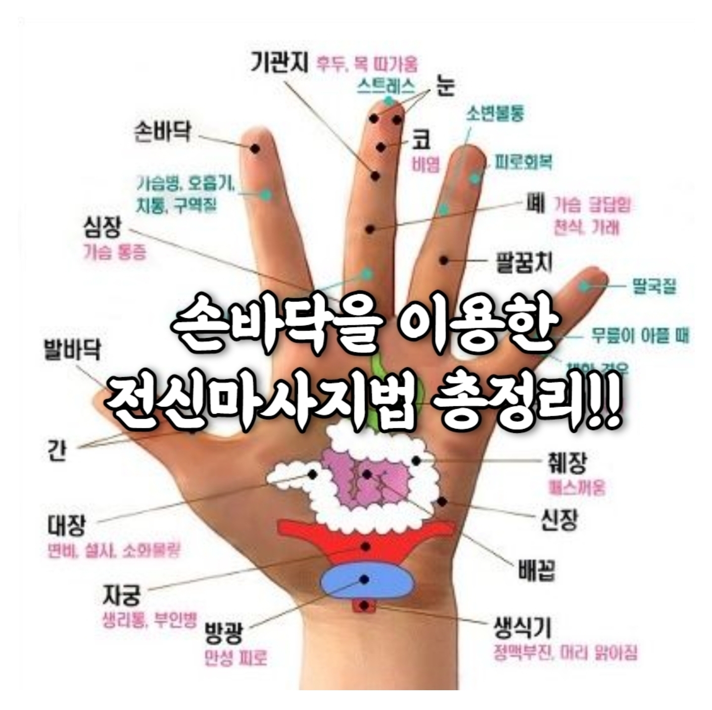 손바닥을 이용한 전신마사지 비법