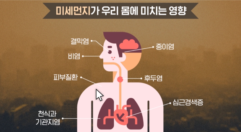 미세먼지인체영향