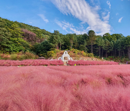 포천-아일랜드