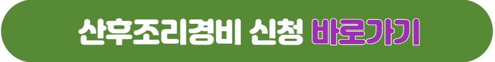  서울시 산후조리비 지원 300만원 신청방법 및 지원대상