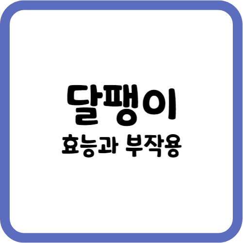 식용 달팽이의 효능과 부작용