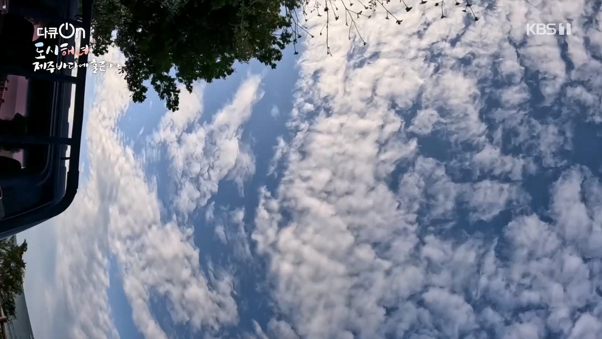 다큐 On.E197.230505p.H264-F1RST.mp4_20230507_133439.937.jpg