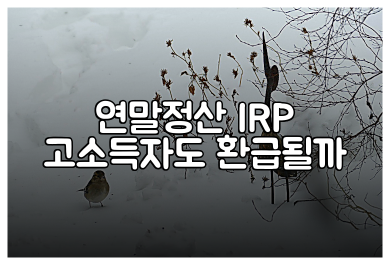 연말정산 IRP 고소득자도 환급될까