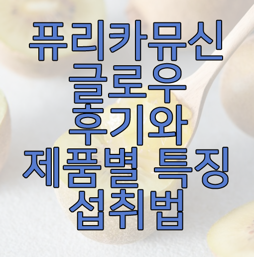 퓨리카뮤신 글로우에 관한 글 썸네일