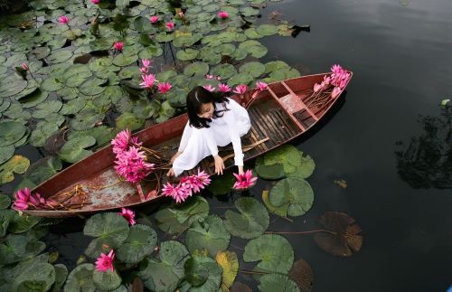 연꽃이 핀 연못에서 배를 타고 있는 여인