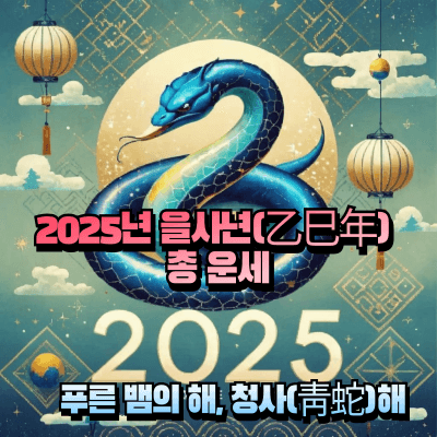2025년 을사년(乙巳年) 총운 섬네일