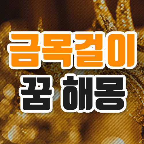  금목걸이 꿈해몽 이런 뜻이 있네요
