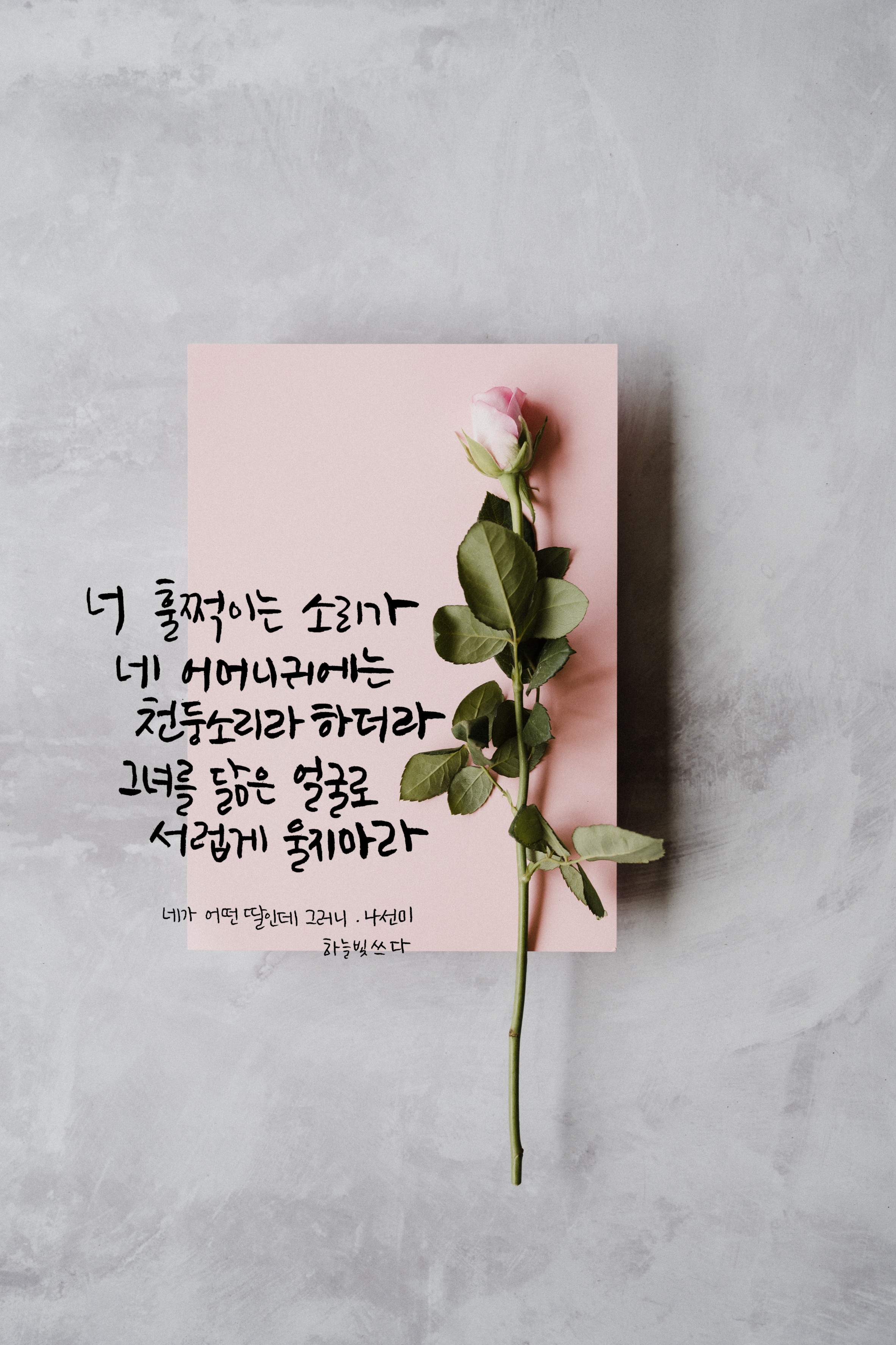  어버이날[나선미_네가 어떤 딸인데 그러니] 사랑합니다