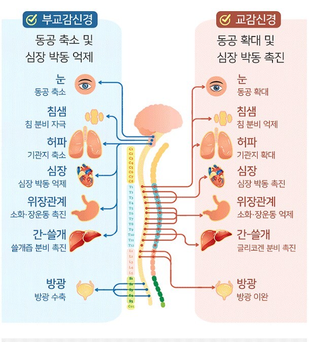 (주)경맥 이미지