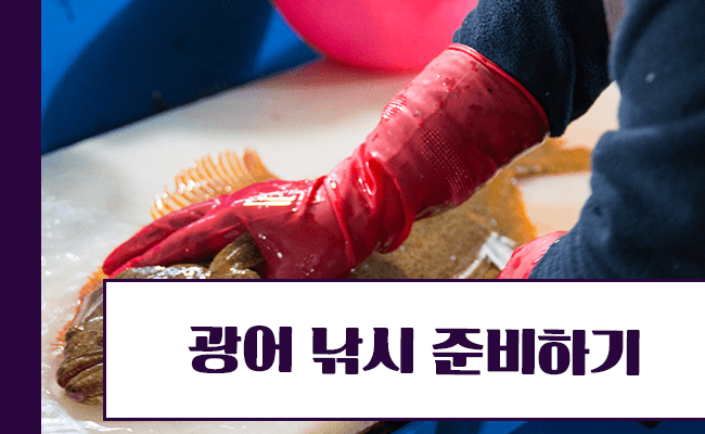 광어 회 뜨는 모습