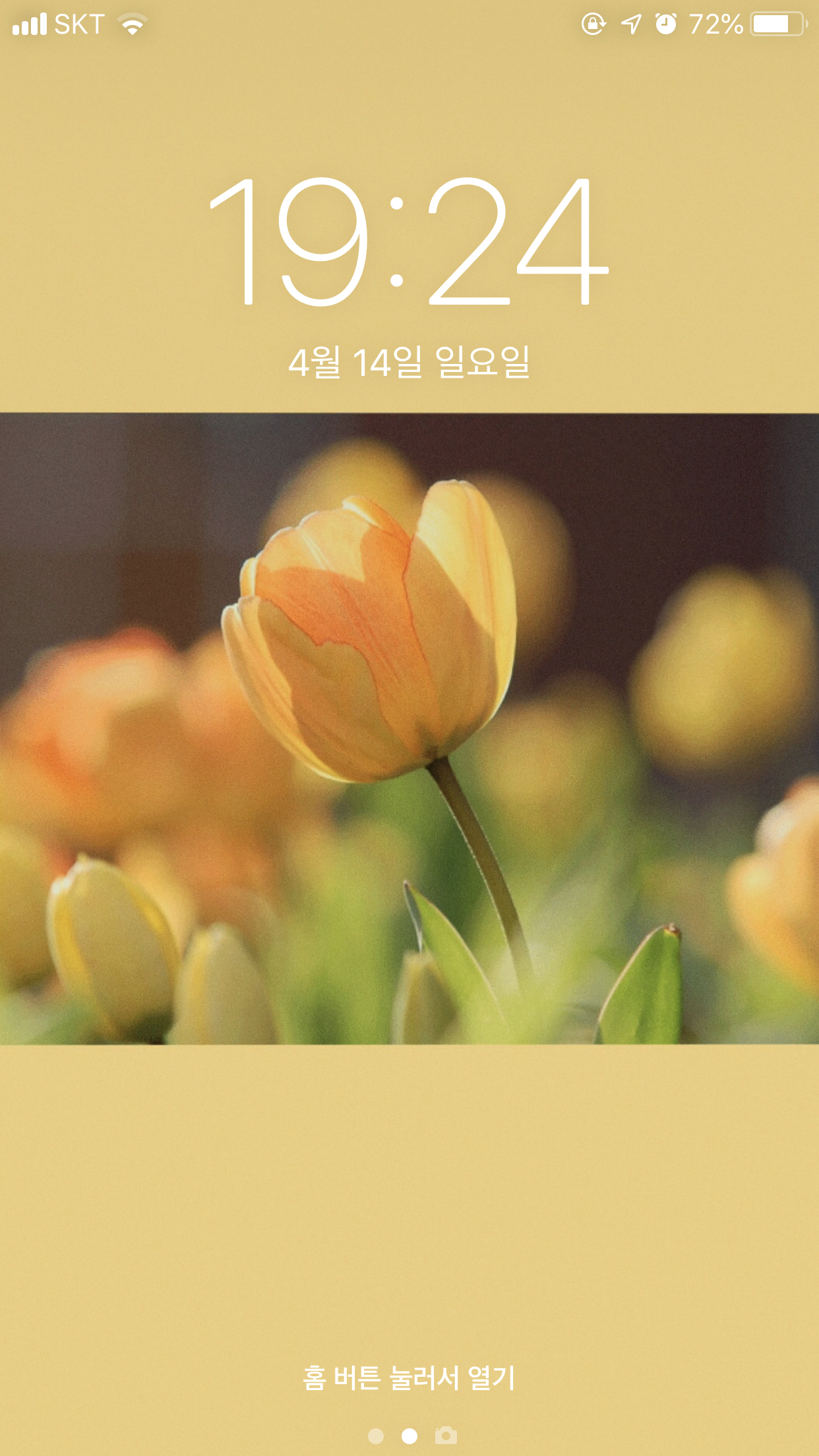  #4. wallpaper - 아이폰/ 안드로이드 배경화면