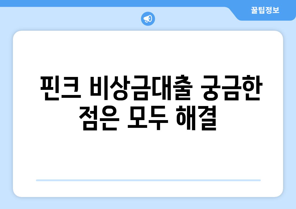  핀크 비상금대출 궁금한 점은 모두 해결