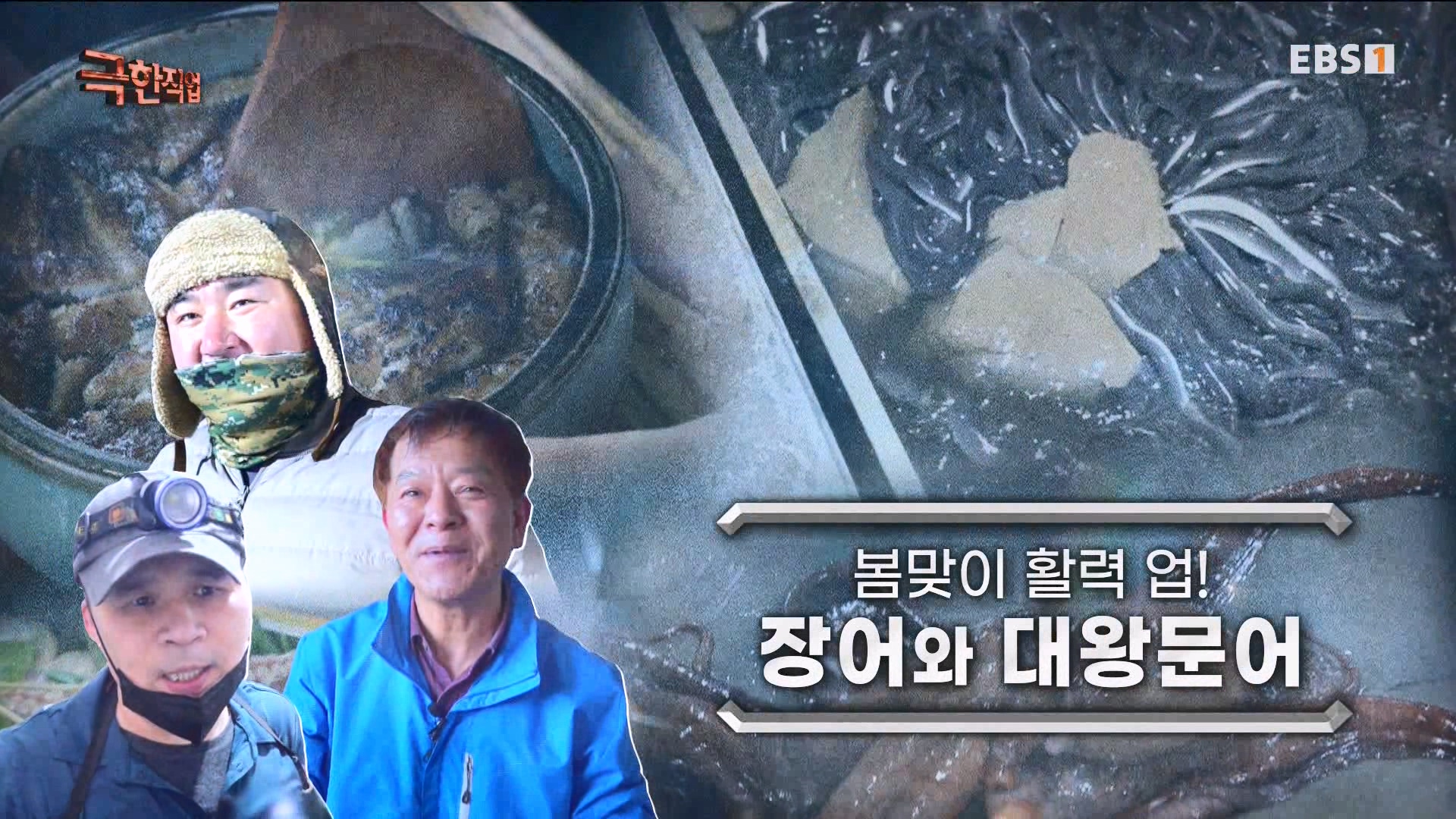 [극한 직업] 장어와 대왕문어 240316.mp4_20240317_151534.476.jpg