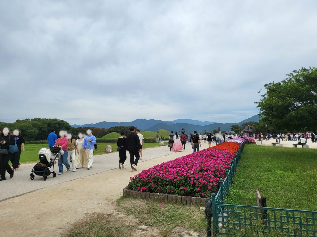 첨성대 핑크뮬리 군락지 및 생태공원
