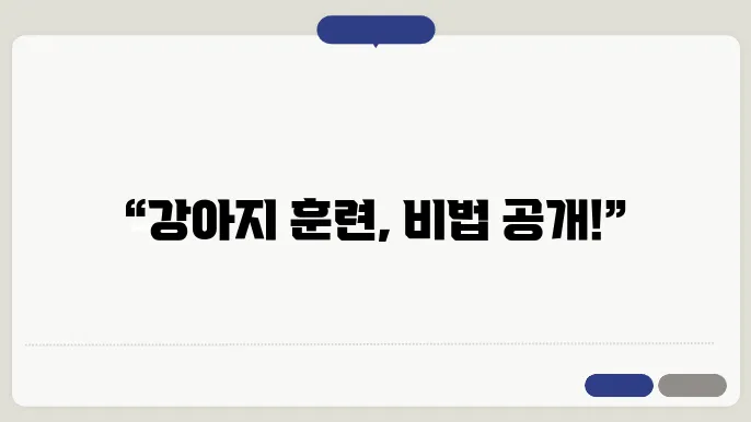 강아지 훈련 방법, 다양한 상황에서의 적용 후기