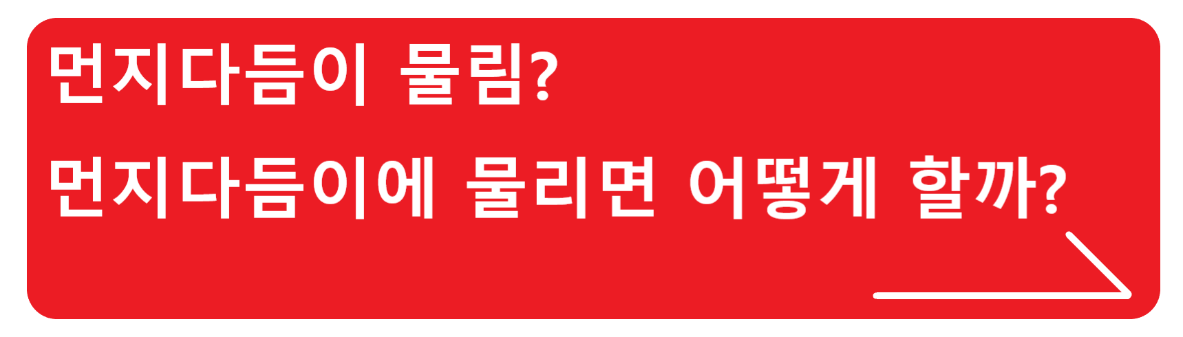 날개미 물림? 겨우 날개미한테 물렸다고 생각하지 말고 확인하세요!