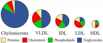 HDL 이미지