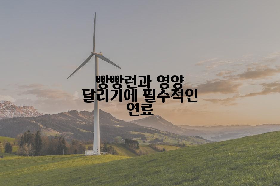 빵빵런과 영양 달리기에 필수적인 연료