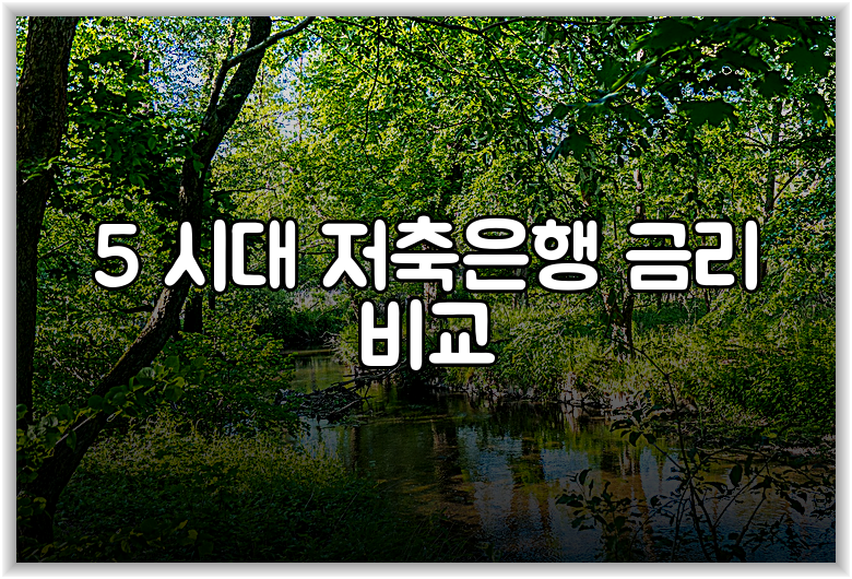 5 시대 저축은행 금리 비교