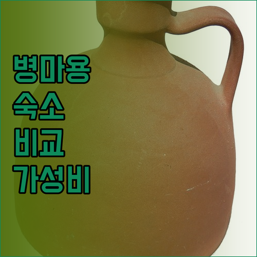 병마용 인근 숙소 완벽 비교 후기 가