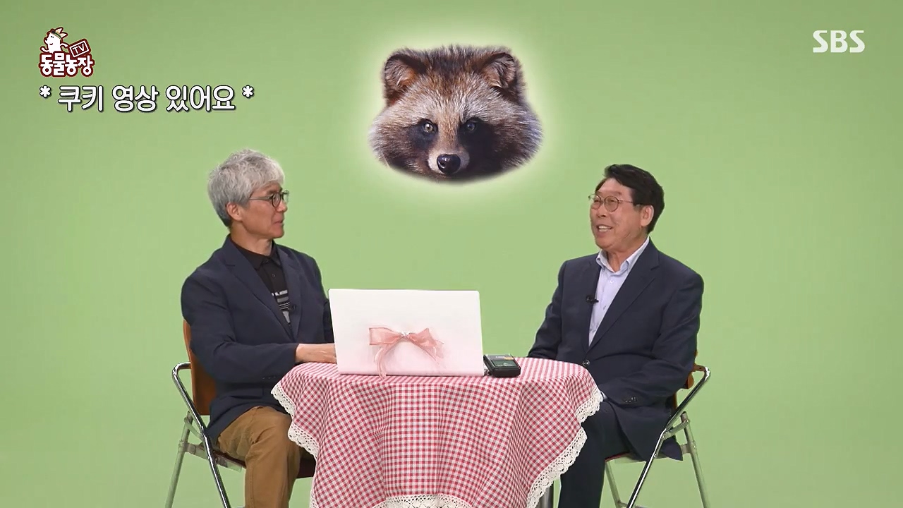 TV 동물농장.E1172.240520p-NEXT.mp4_20240519_163721.844.jpg