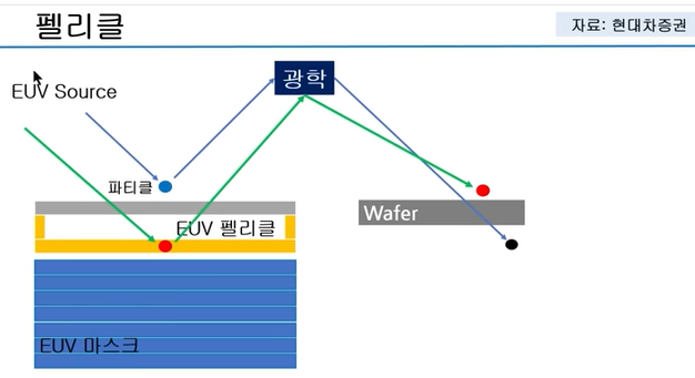 펠리클