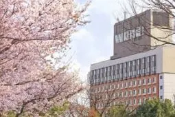 워커힐 호텔앤리조트 피자힐 삼거리 2