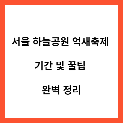 서울 하늘공원 억새축제 기간&#44; 꿀팁 완벽 정리
