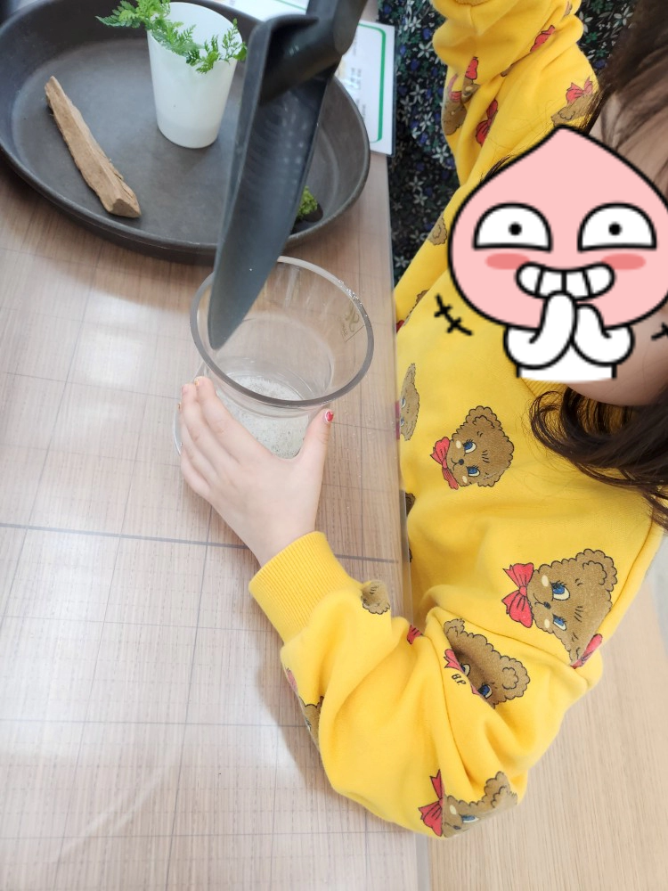 만들어 보자 동물 테라리움