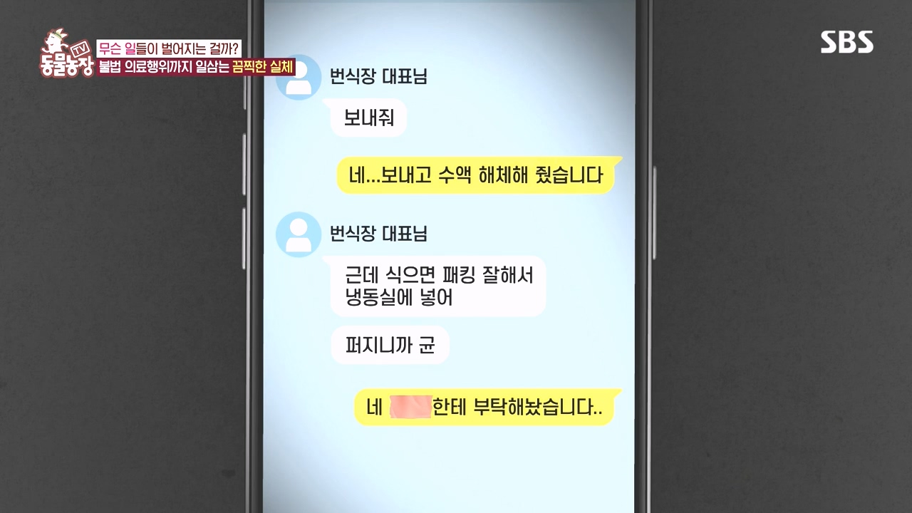TV 동물농장.E1142.231023p-NEXT.mp4_20231022_172443.067.jpg