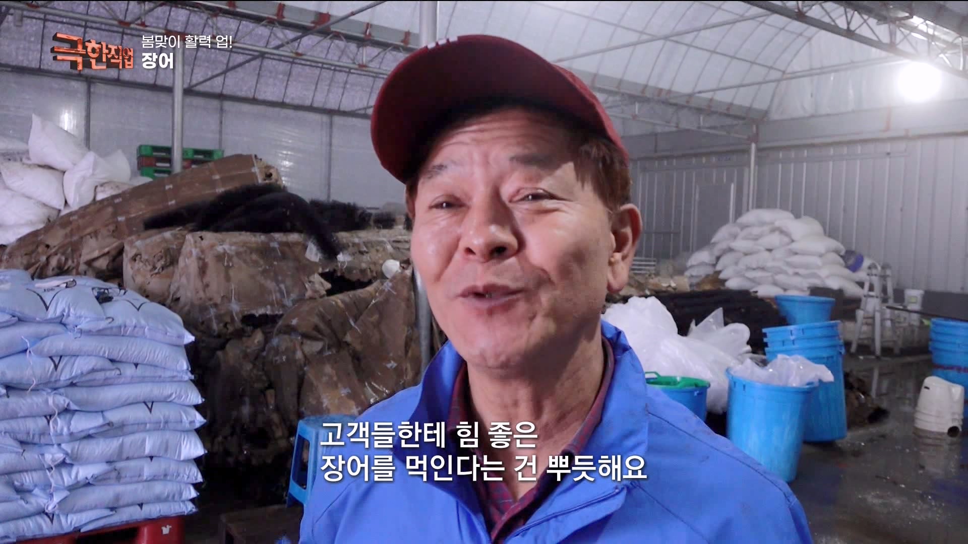 [극한 직업] 장어와 대왕문어 240316.mp4_20240317_153637.248.jpg