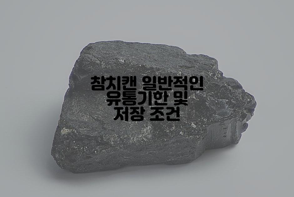 참치캔 일반적인 유통기한 및 저장 조건