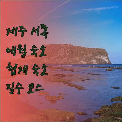 제주 서쪽 여행 필수 숙소! 애월, 