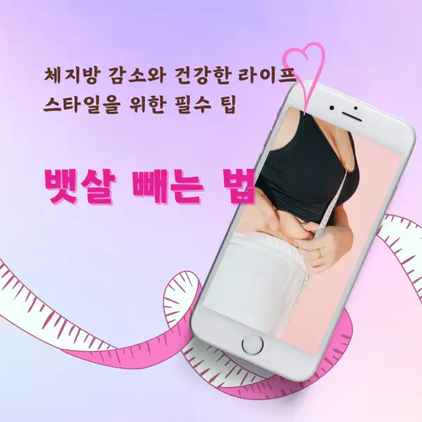 뱃살 빼는 법 완벽 가이드
