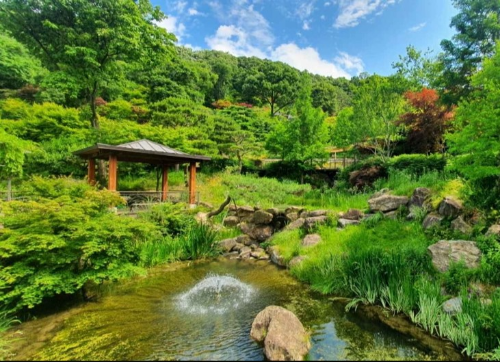 화담숲연못이미지