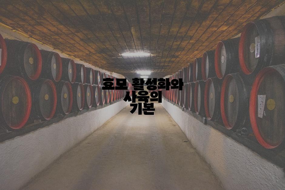 효모 활성화와 사육의 기본