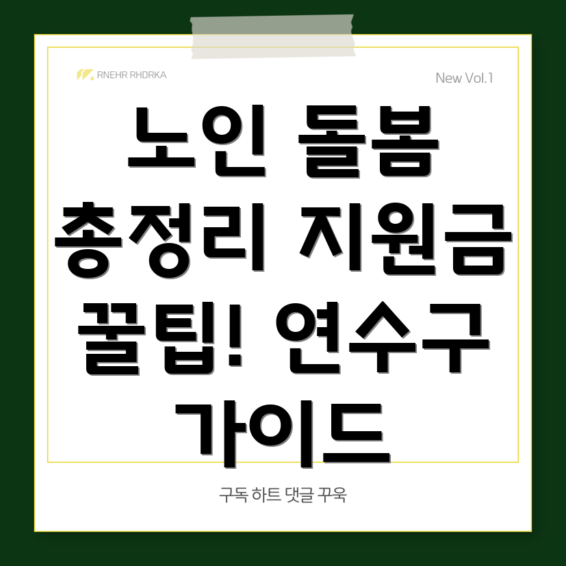 노인 돌봄 지원금