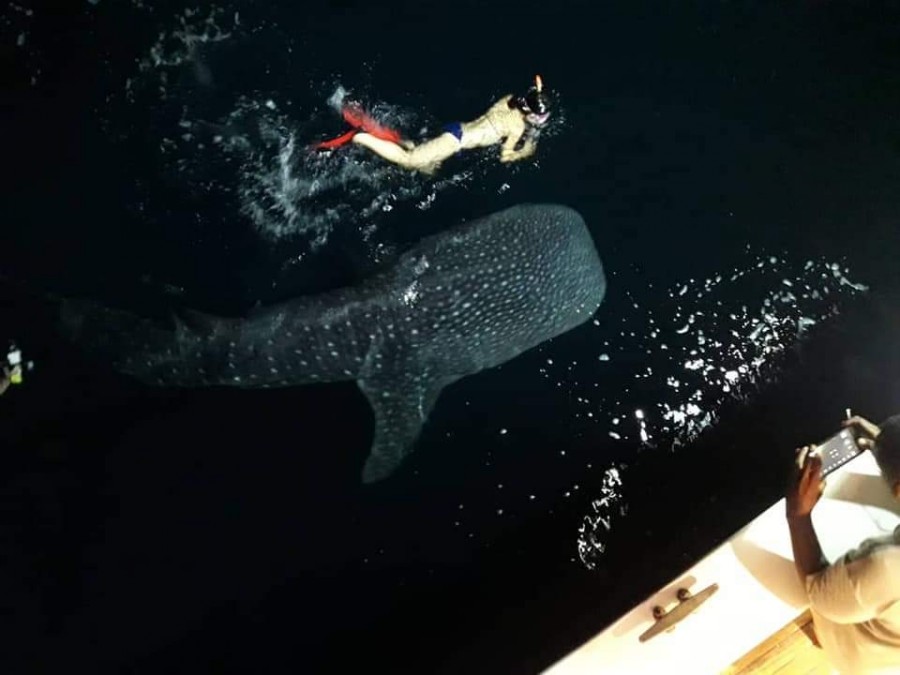 해외 여행 입국자 자가격리 해외입국 자가격리 면제 : 3월21일부터 3