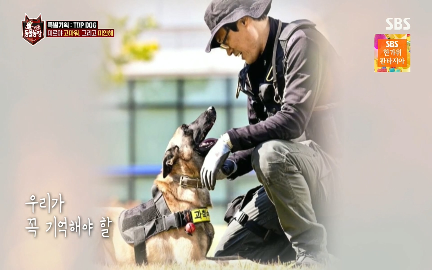 TV 동물농장.E1086.220911p.H264-F1RST.mp4_20220911_175201.985.jpg