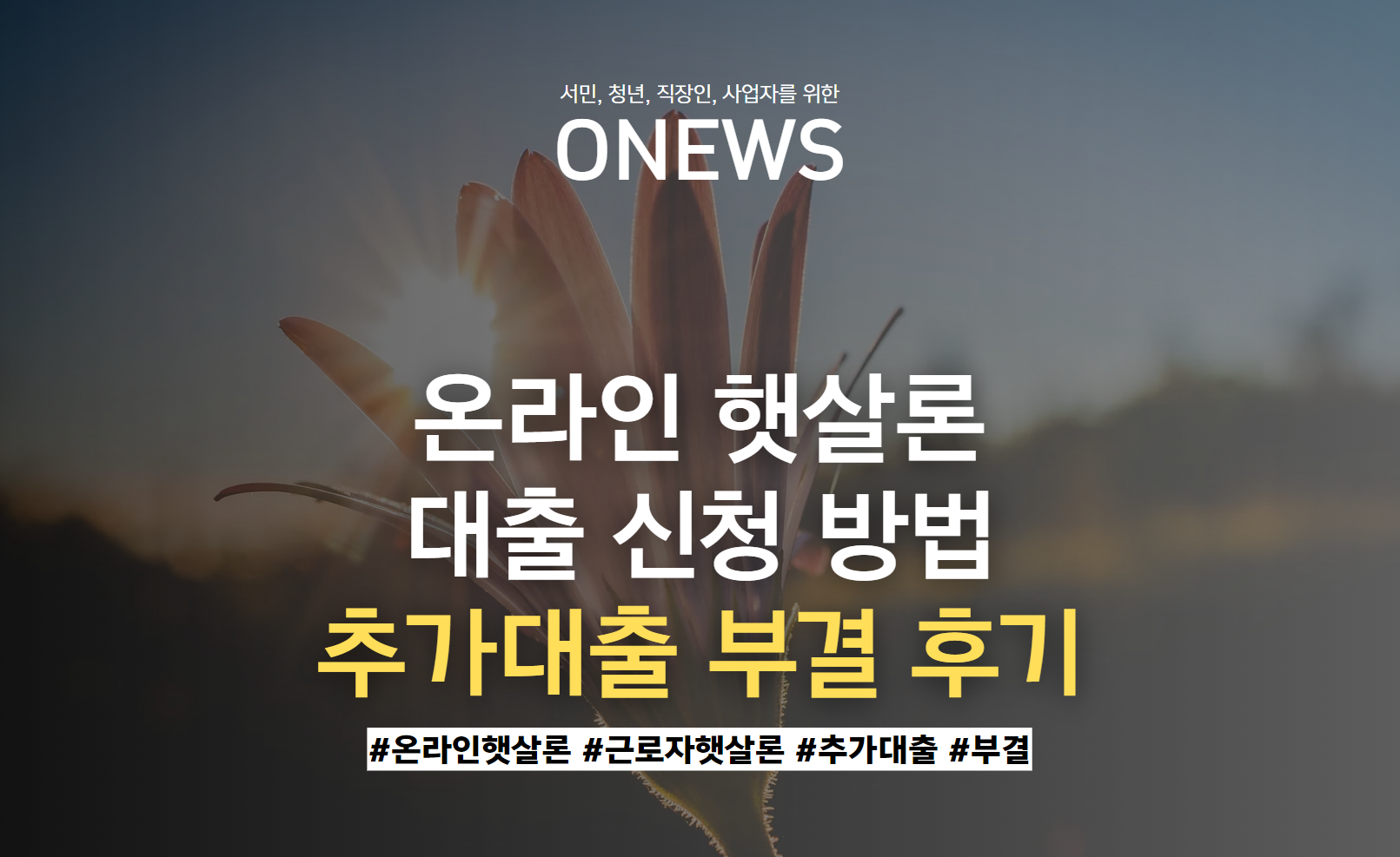 온라인햇살론 대출 신청 방법 : 추가대출 부결 후기