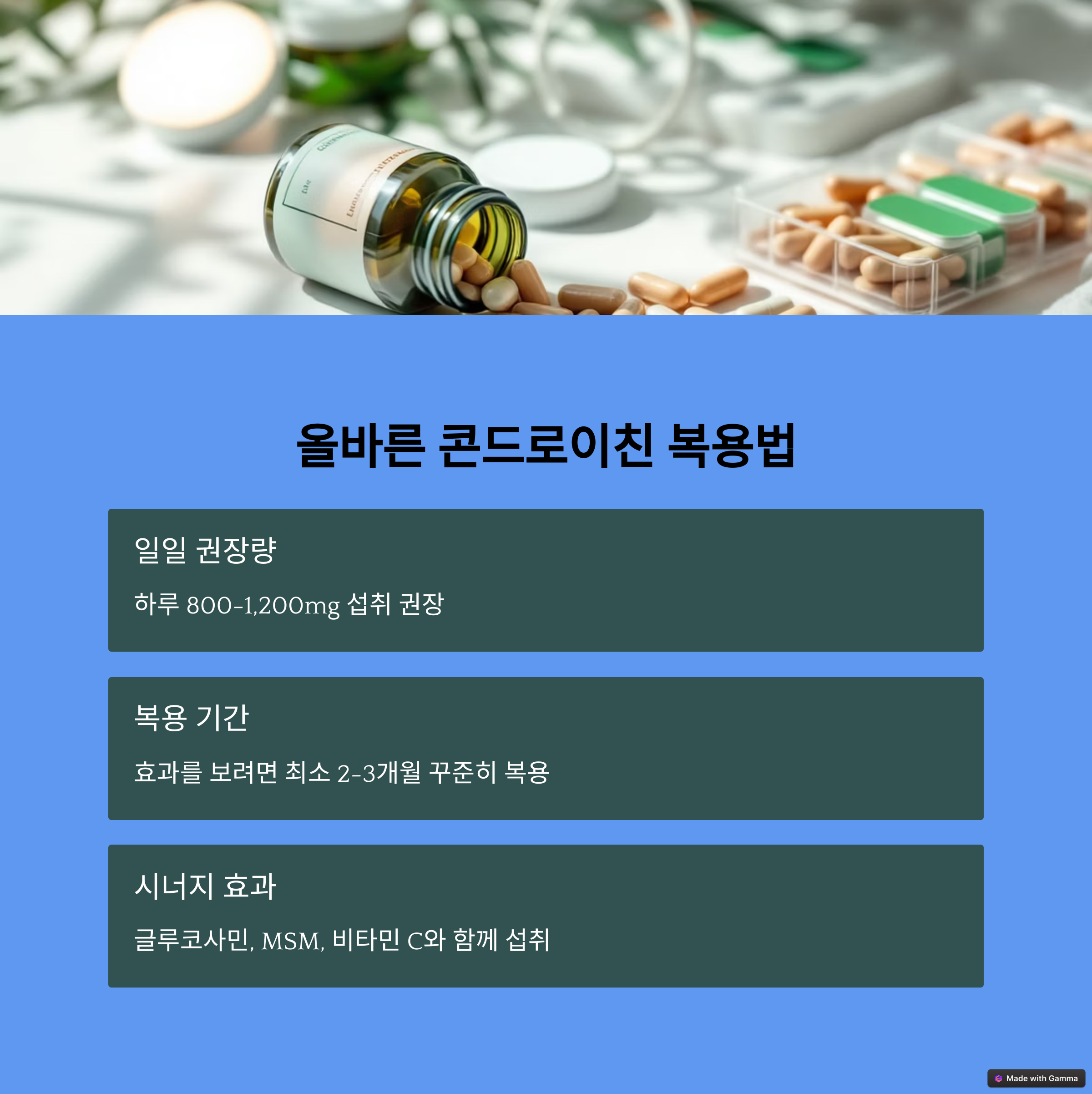 콘드로이친 복용법