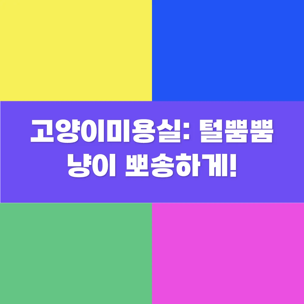 썸네일 이미지